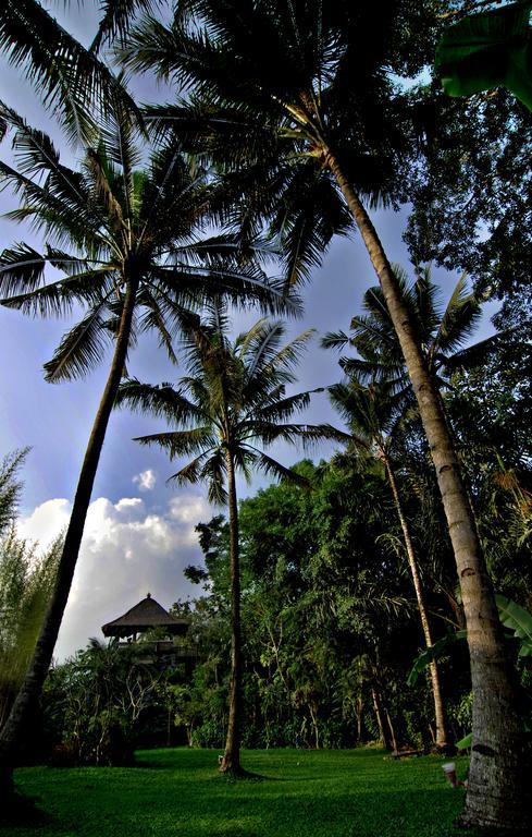 Omah Pakem Hotel Exterior foto